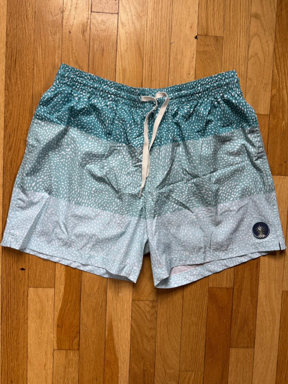 Chubbies Teal and White Patterned Swim Trunks